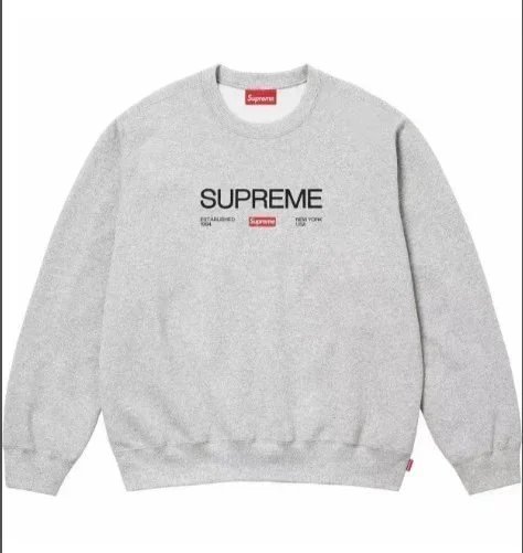 Hooded Sweatshirt with Letter Embroidery photo 3