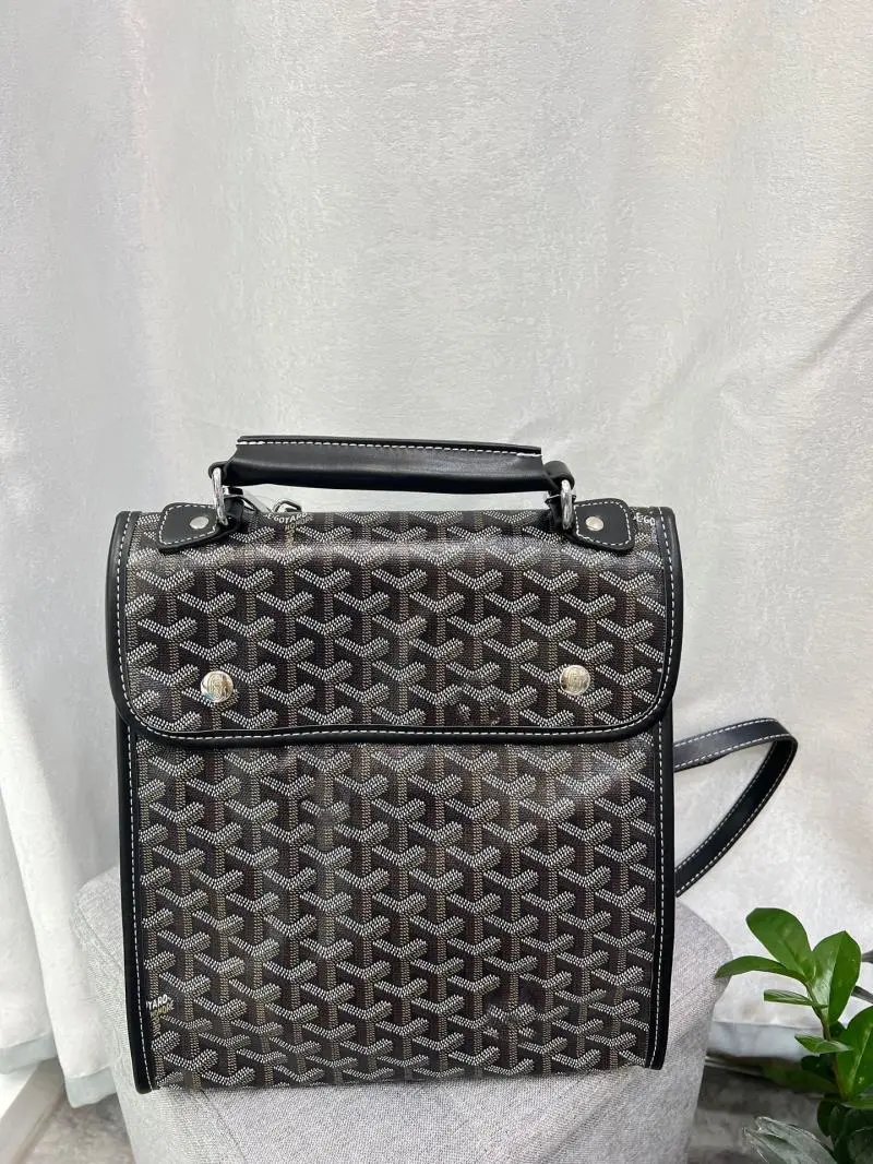 Goyard Saint Louis PM Gray Monogram Messenger Bag - 31