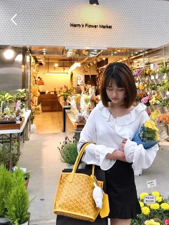 Goyard Handbags Goyardine patterned tote bag product detail image 24