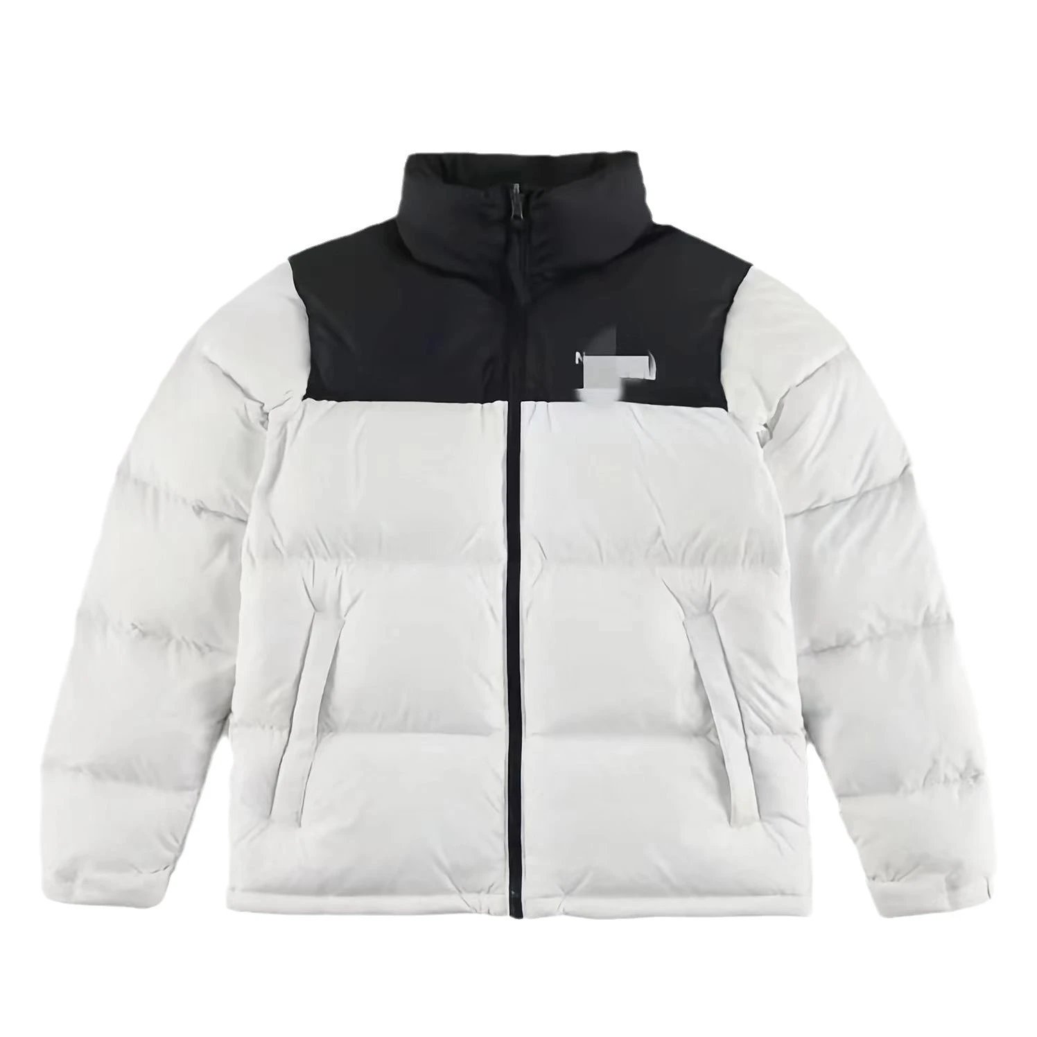 The North Face Winter Jacket