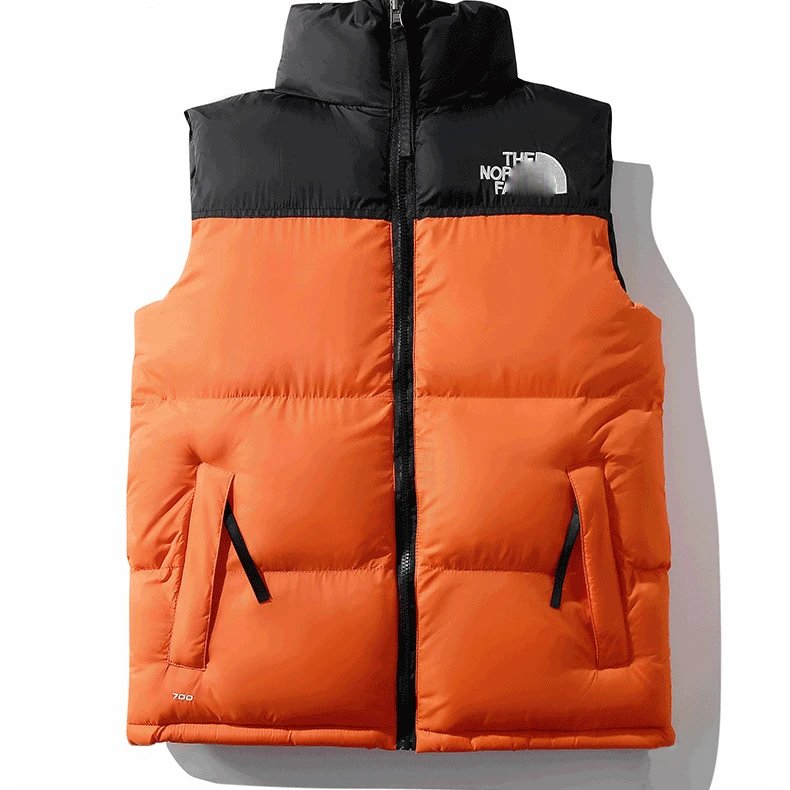 The North Face Winter Vest-2 jacket