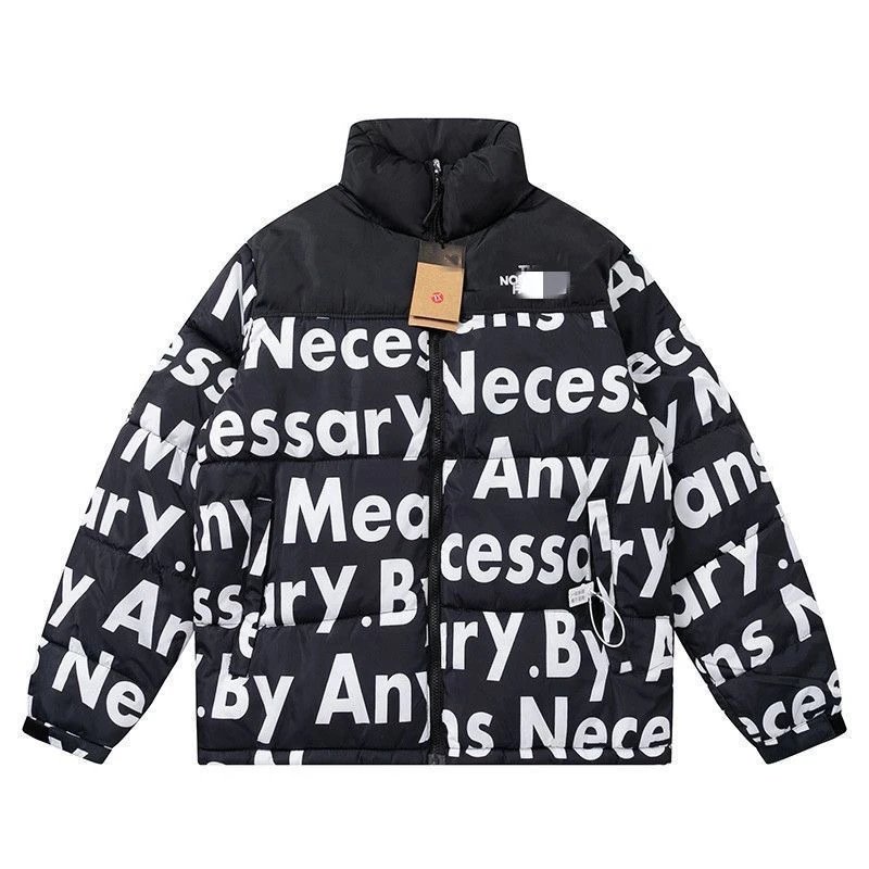 The North Face Winter Jacket-2