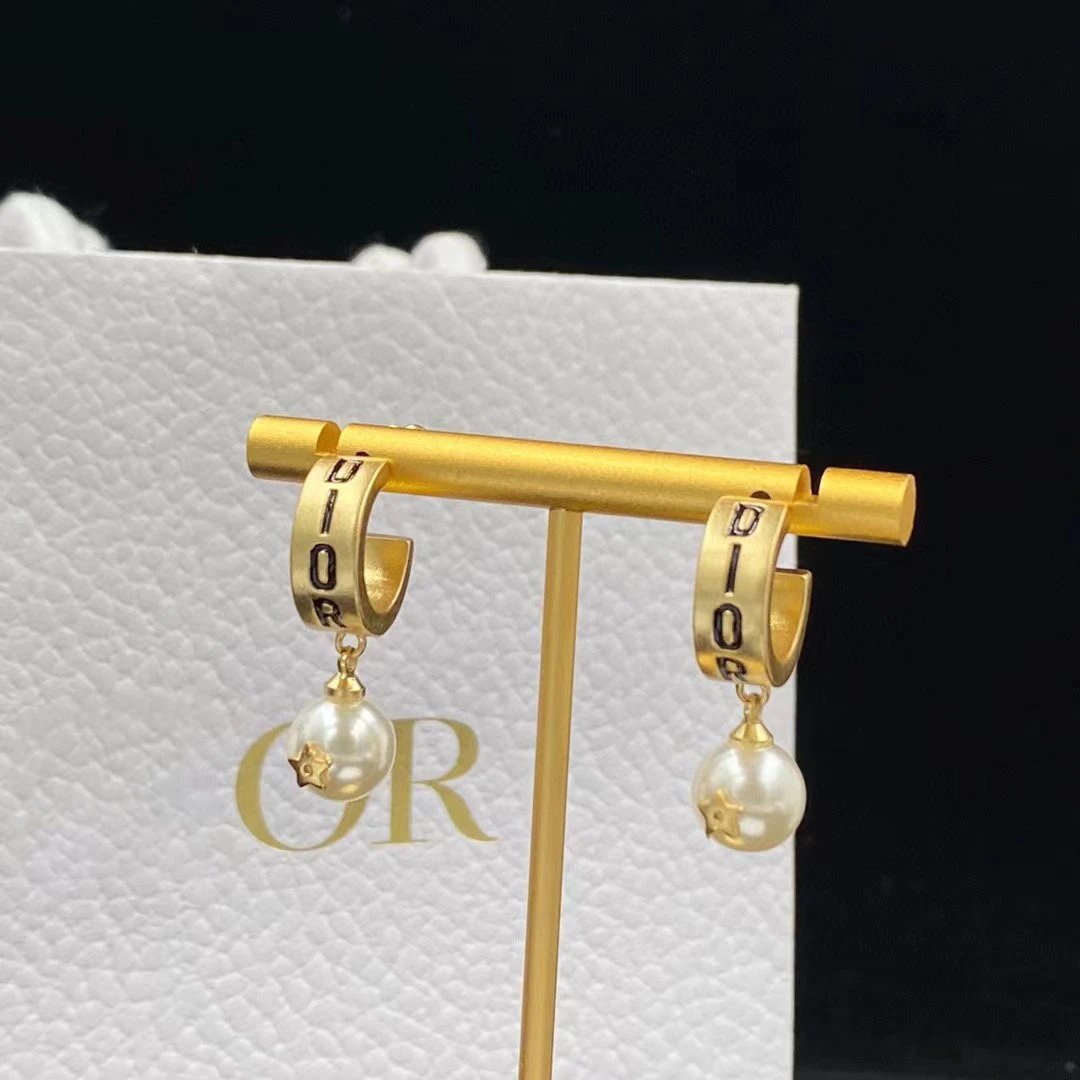 Dior earrings-102