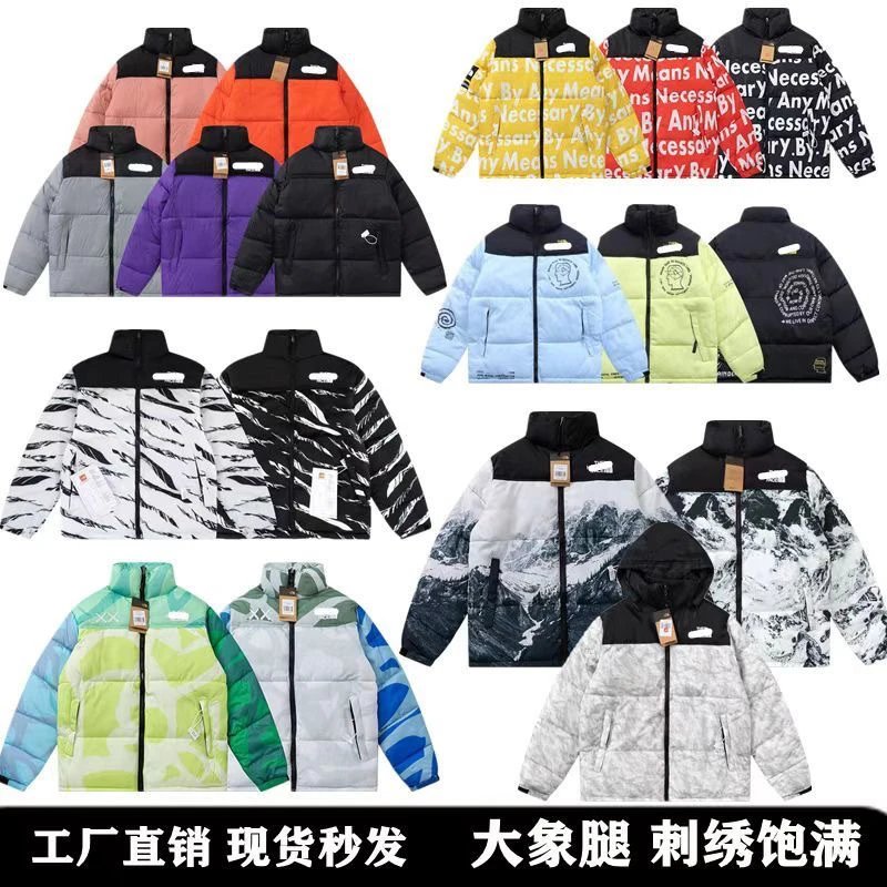 The North Face Winter Jacket-2
