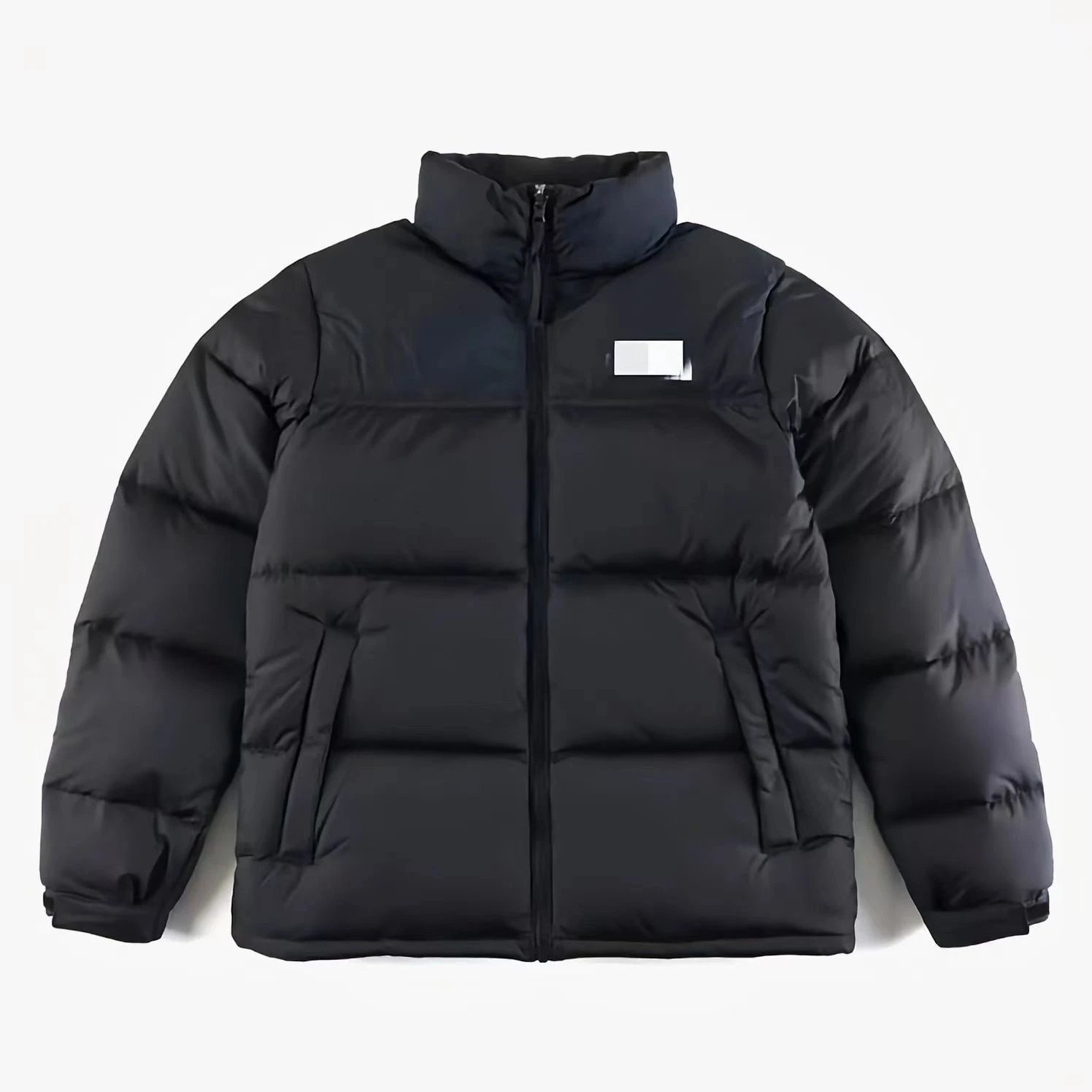 The North Face Winter Jacket-1