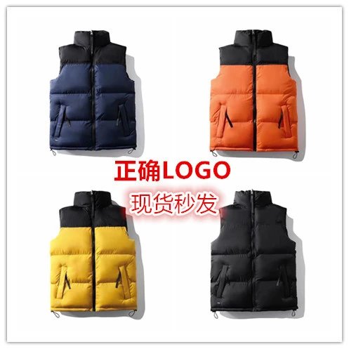 The North Face Winter Vest-2 jacket