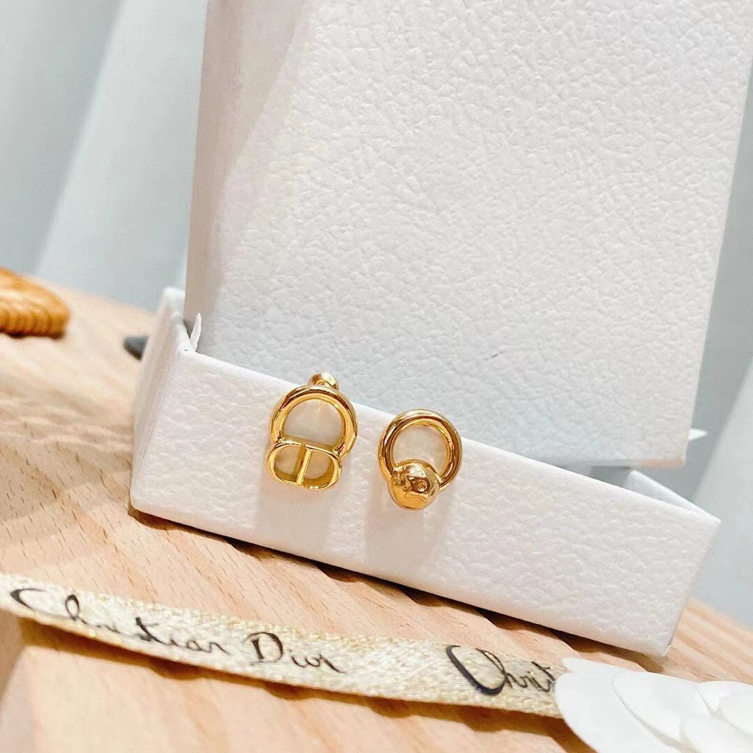 Dior earrings-114