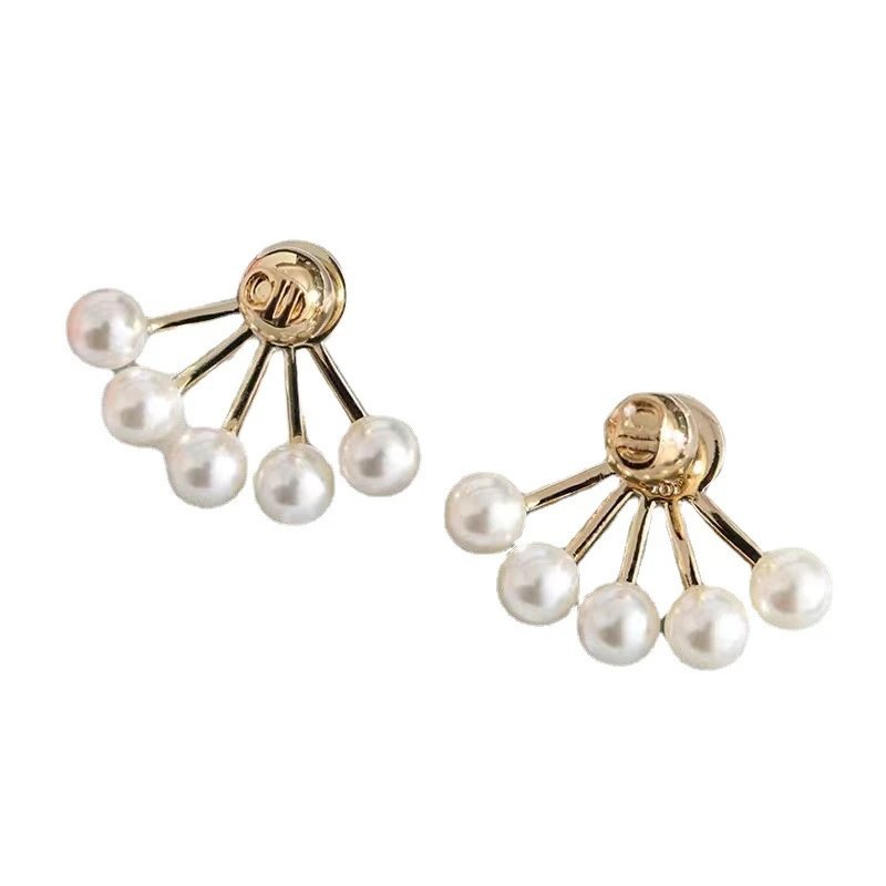 Dior earrings-56