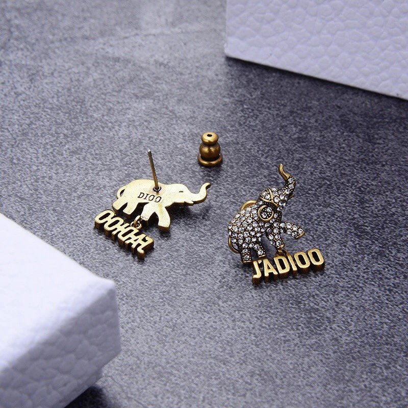 Dior earrings-116