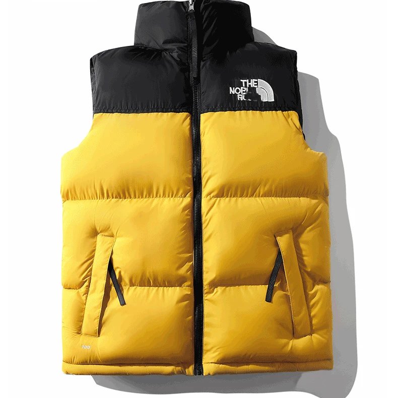 The North Face Winter Vest-2 jacket