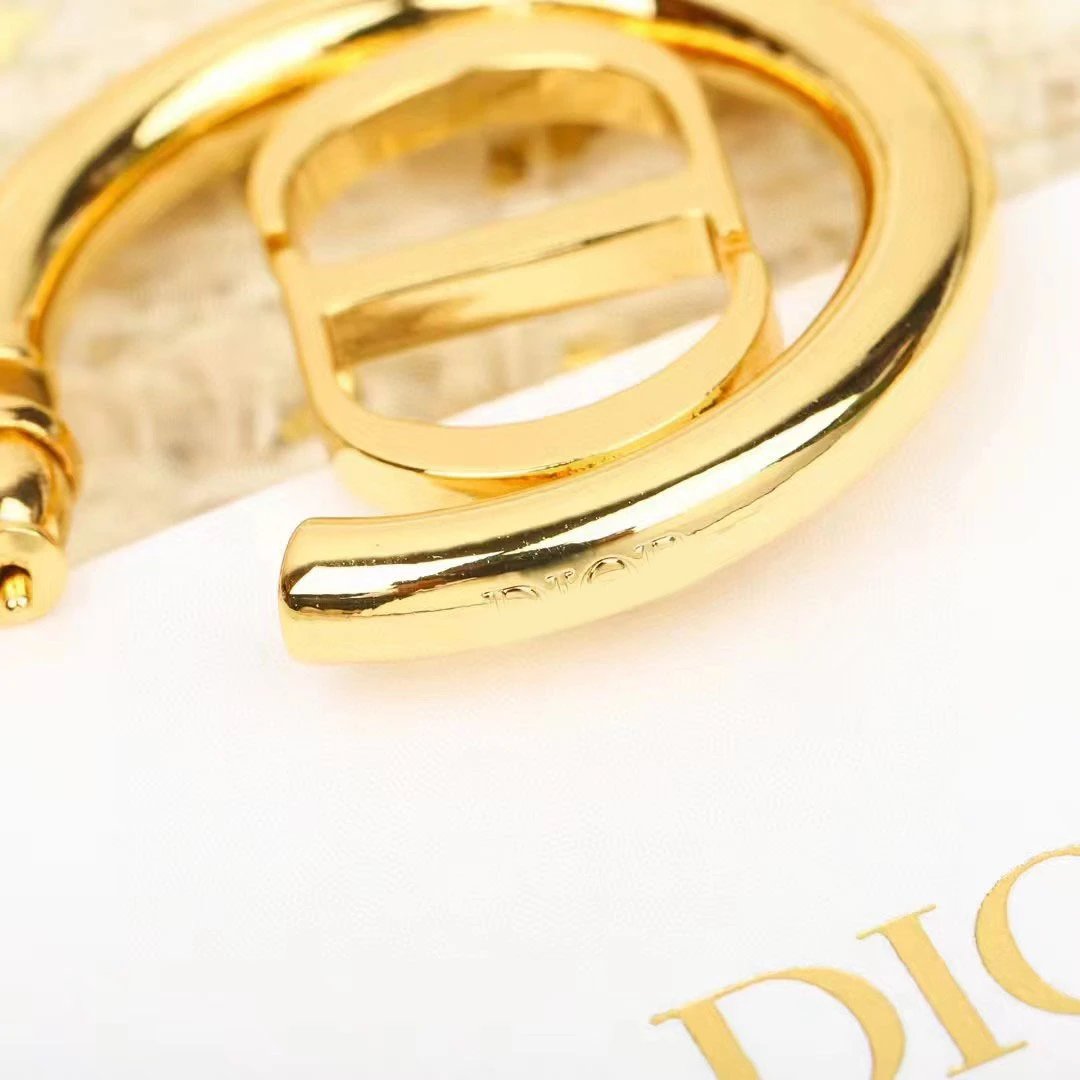 Dior earrings-65