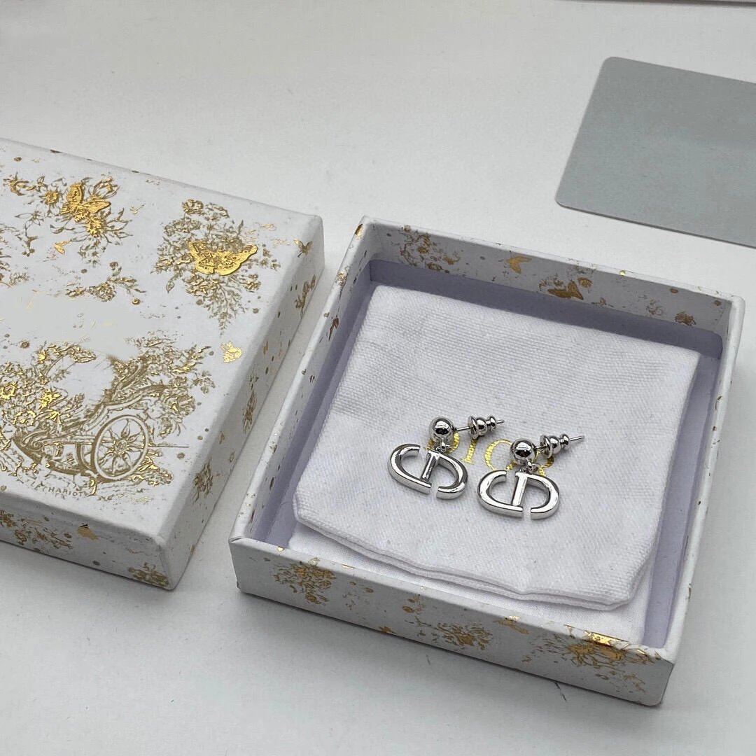 Dior earrings-70