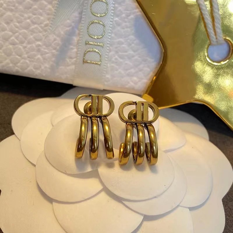 Dior earrings-60