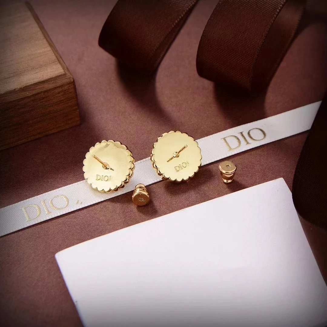 Dior earrings-86