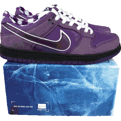 CONCepts×NIKE Dunk SB