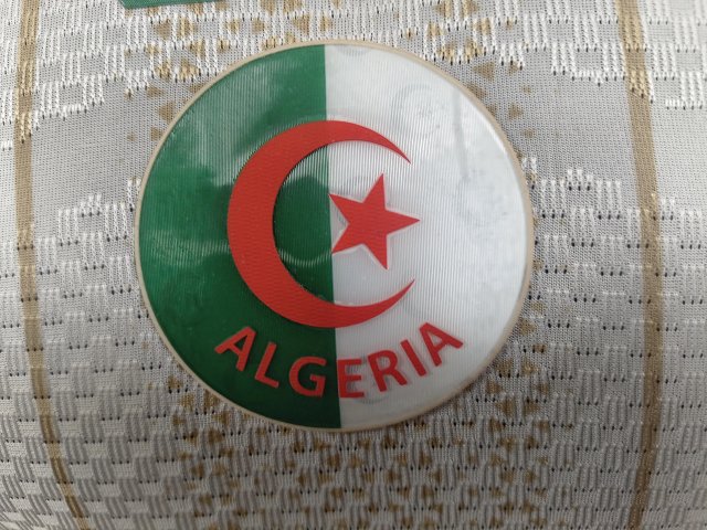 Algeria Jersey: seller detail photo 7