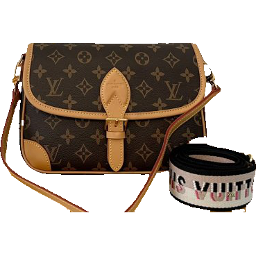 LV Bag