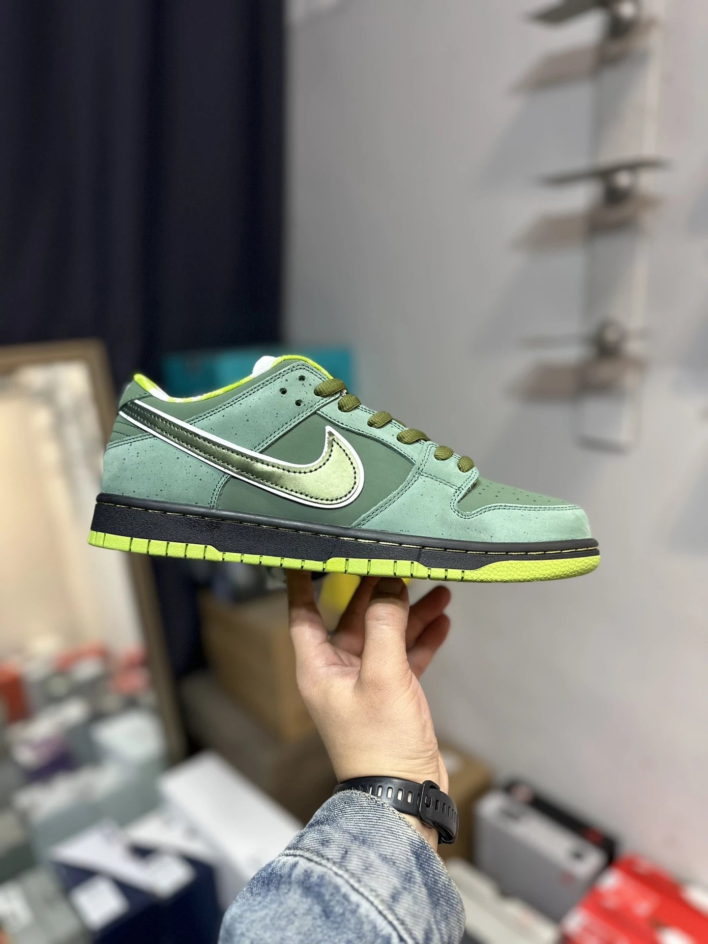 dunksb Green Lobster BV1310-337