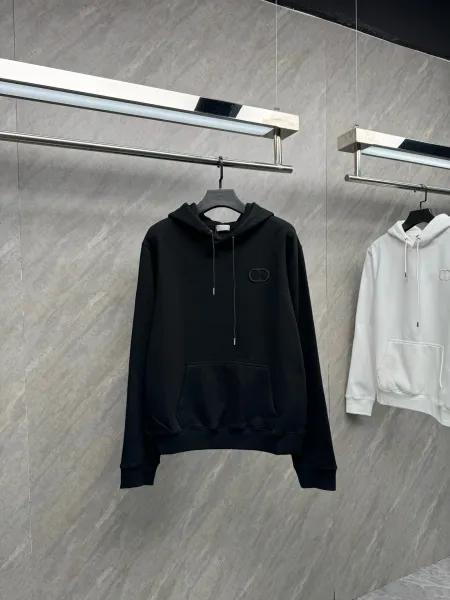 Dior CD Logo Hoodie in Sky Blue and Gray - 2