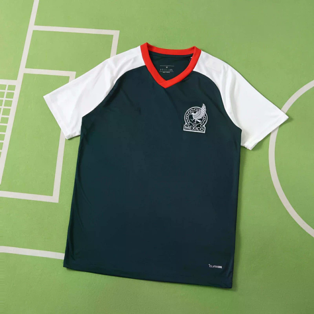 2026 FIFA World Cup Mexico green Training shirt Fan version: seller detail photo 1
