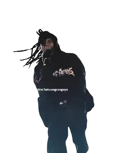 Hellstar Records Zip-Up Hoodie Black - 5
