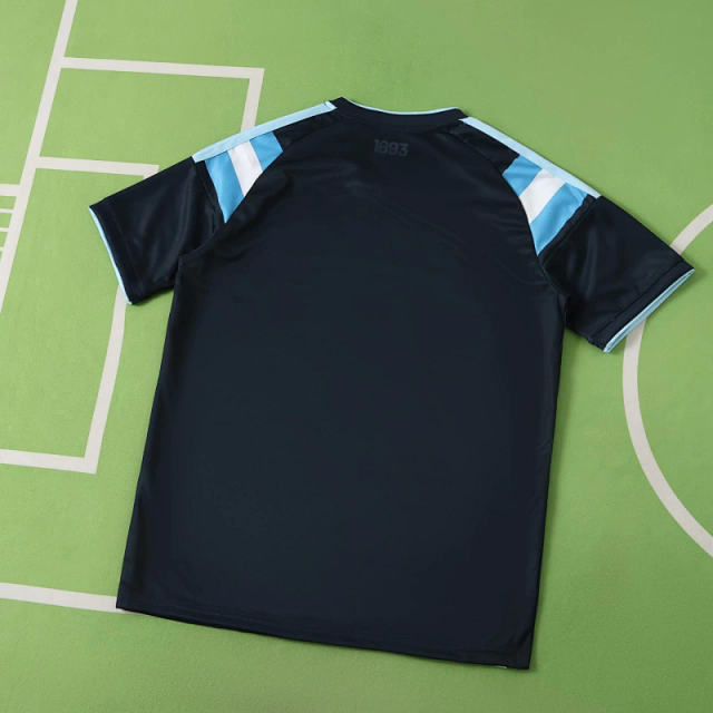 2026 FIFA World Cup Argentina Training shirt Fan version: seller detail photo 4