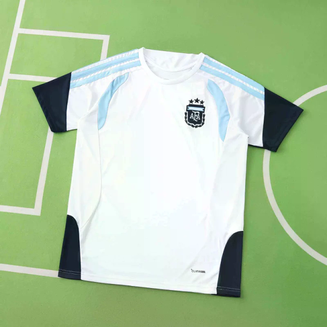 2026 FIFA World Cup Argentina training suit Fan version: seller detail photo 1
