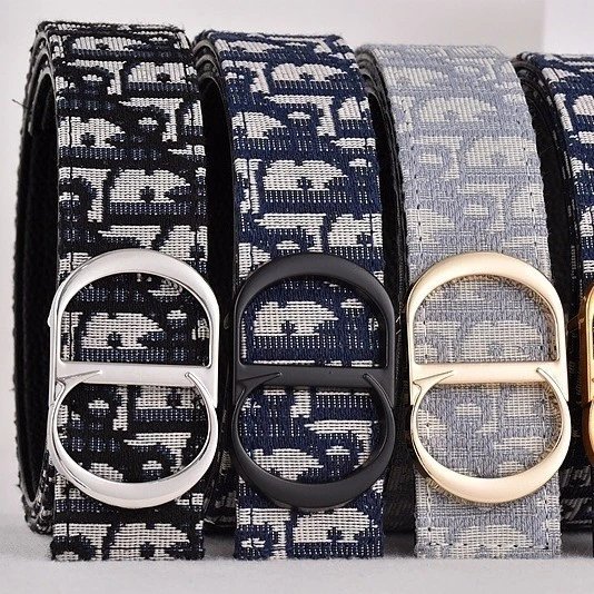 Dior Oblique Canvas Belt Black and White - 2