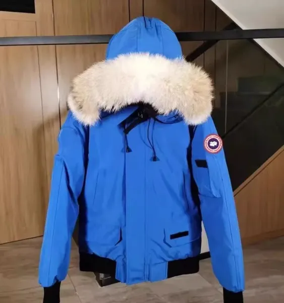 Canada Goose Expedition Parka Blue with Genuine Coyote Fur Trim - 1