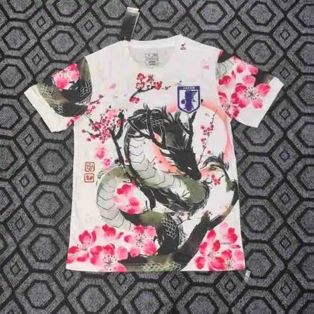 Japan 14