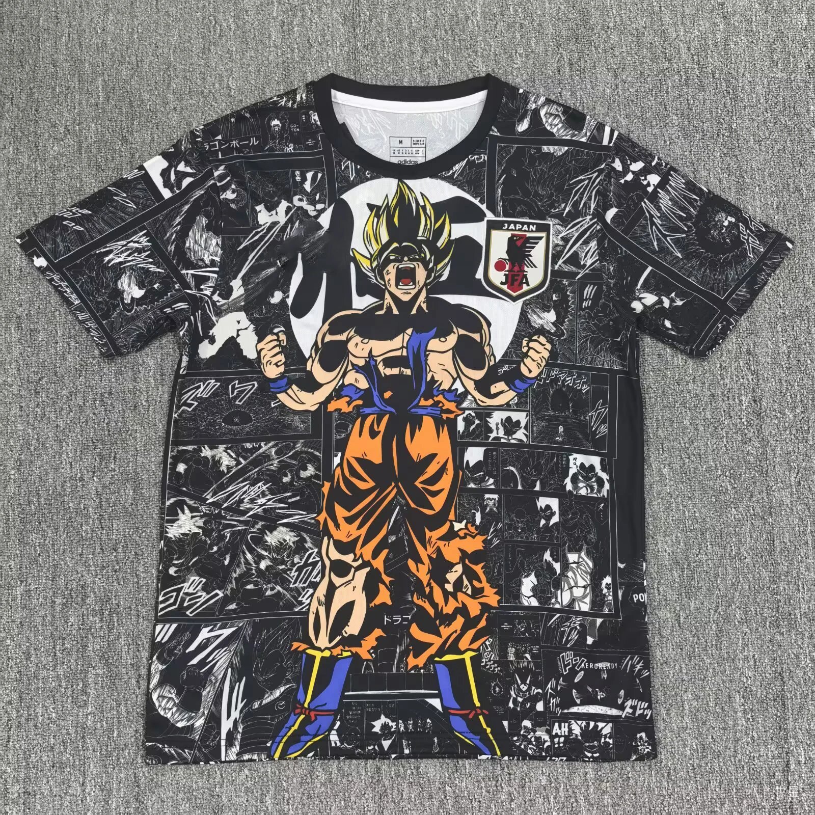 Japan 20