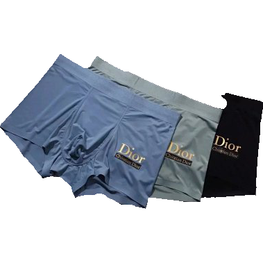 Dior underwear
