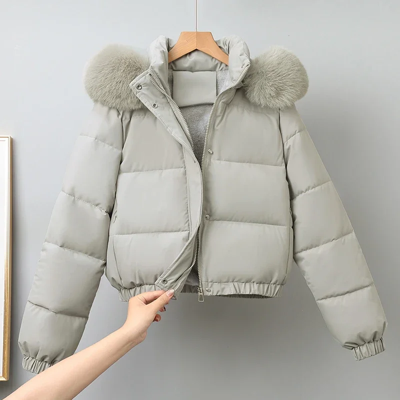 Short Hooded Puffer Coat With Large Fur Collar