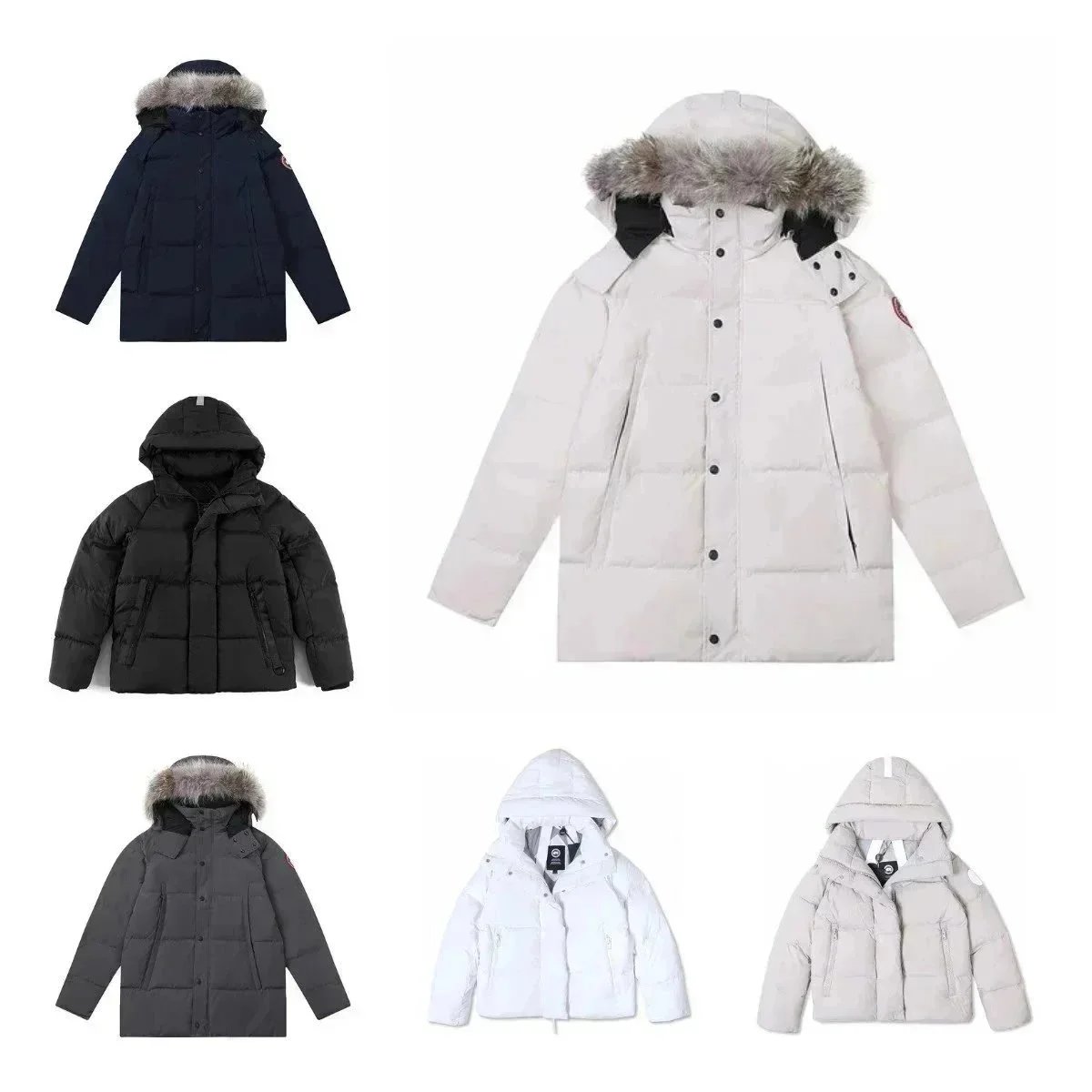 Classic Versatile Fashion Down Jacket - 0813