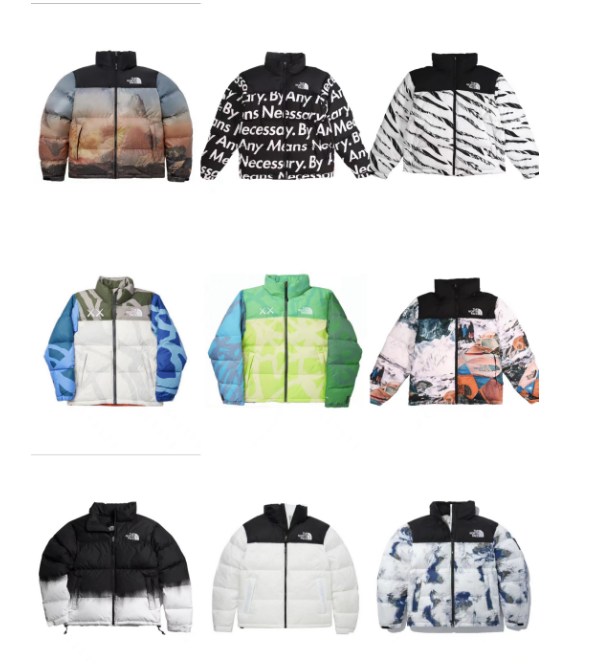 The North Face Printed Stand Collar Puffer Jacket Multi Pattern Collection