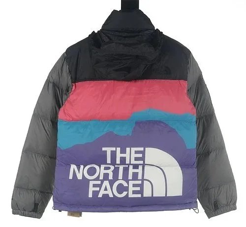1:1 Batch 经典百搭时尚羽绒服009