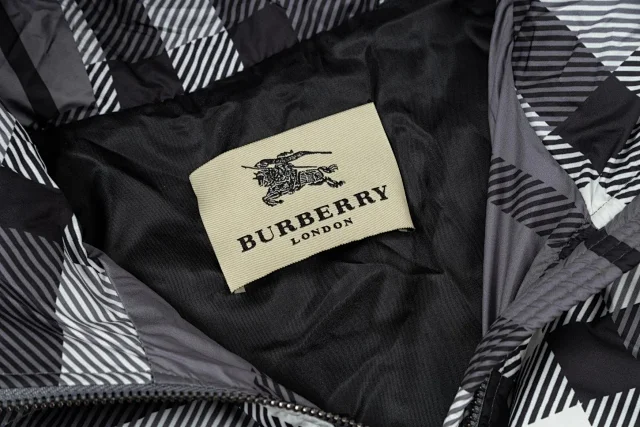 Burberry Down Jackets Hooded jacket product detail image 9