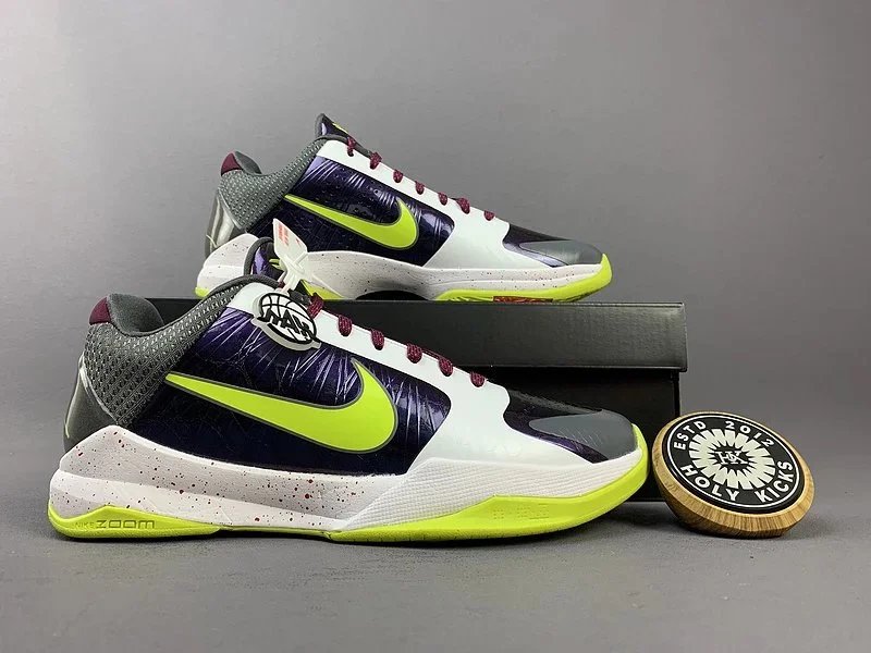 Nike Zoom Basketball Shoes