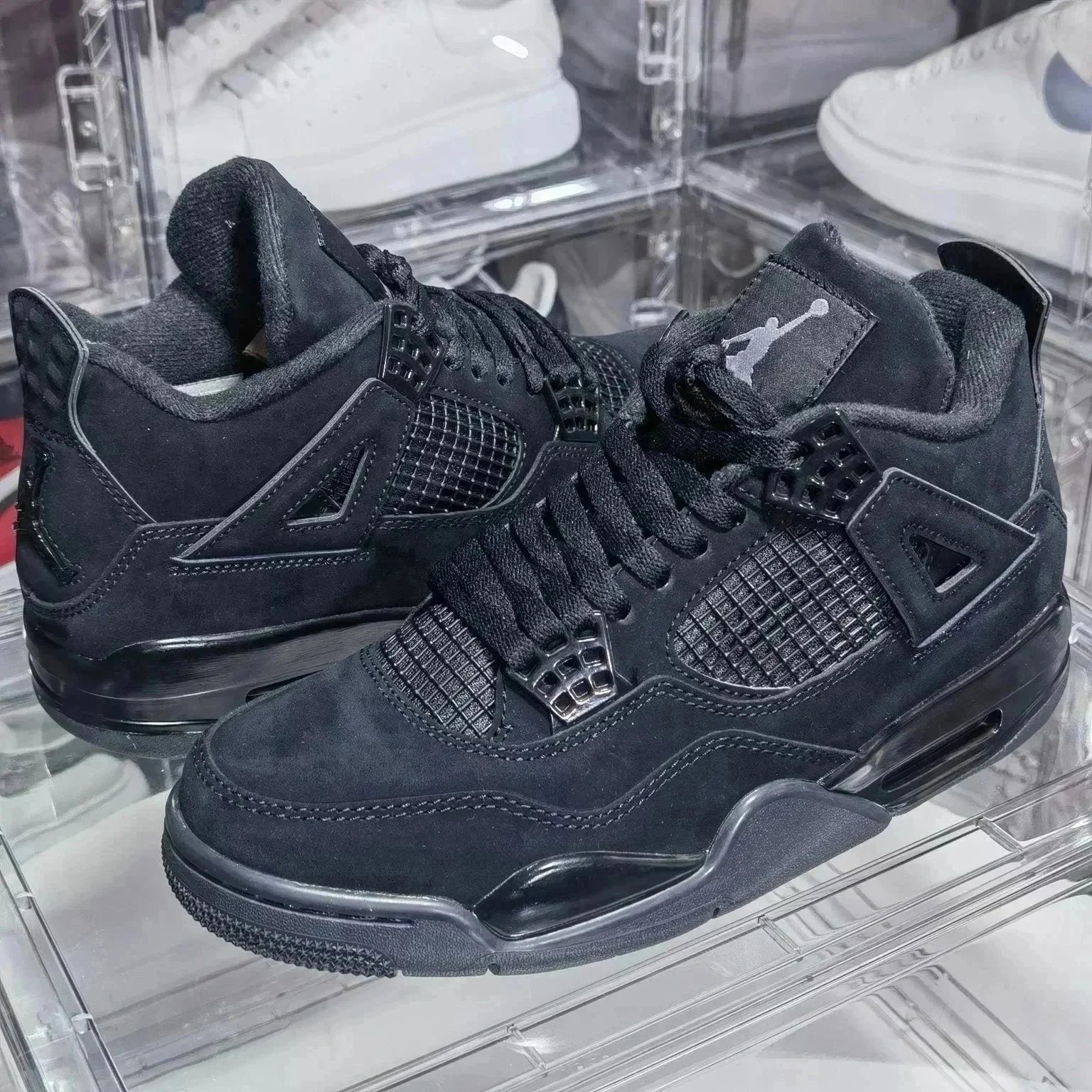 Black Cat Colorway