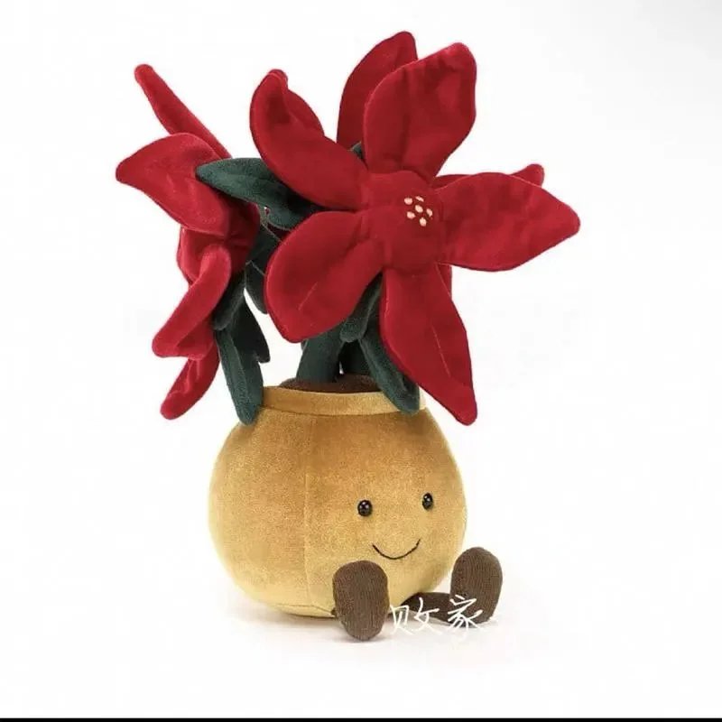 Poinsettia SKU image