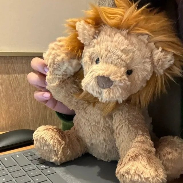 Upgraded 23cm Wave Lion