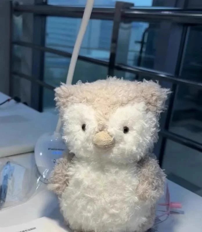 Curly Owl - Correct Version