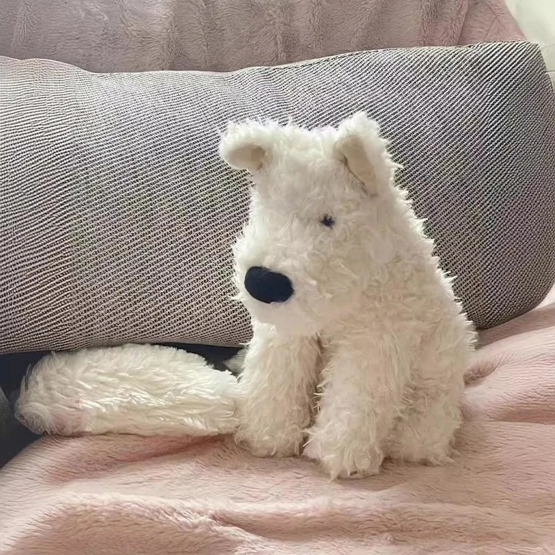 Daxi Highland 43cm