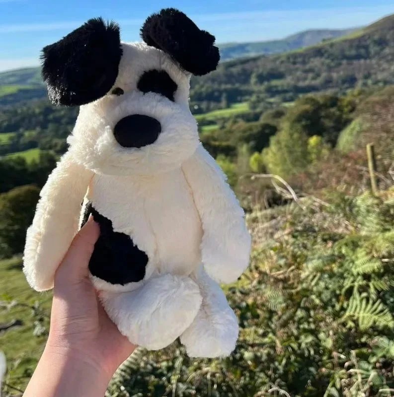 Little pirate dog 18cm