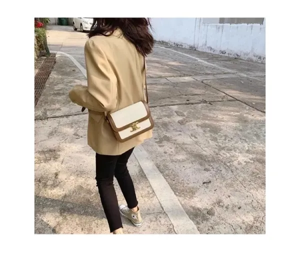 Celine Triomphe Mini Bag Beige and Brown Canvas with Gold Hardware Crossbody Bag - 23