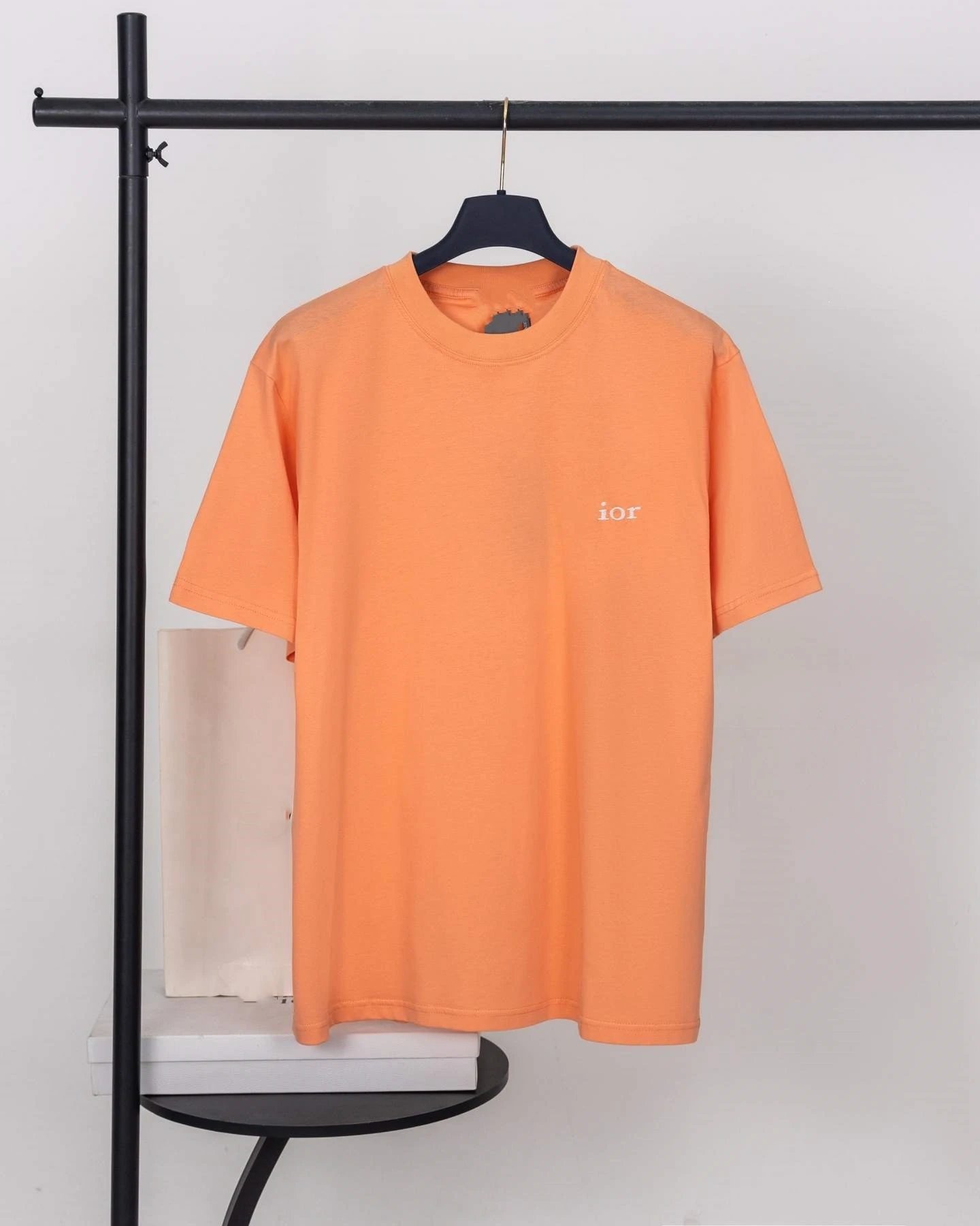Dior IOR Logo Graphic T-Shirt Gray - 5