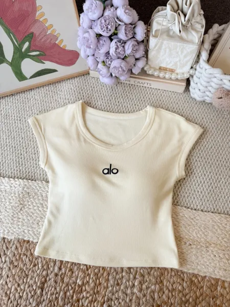 Alo Logo Crop Top Burgundy T-Shirt - 20