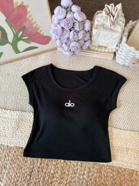Alo Logo Crop Top Burgundy T-Shirt - 24