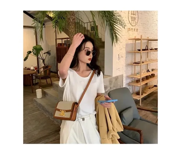 Celine Triomphe Mini Bag Beige and Brown Canvas with Gold Hardware Crossbody Bag - 3