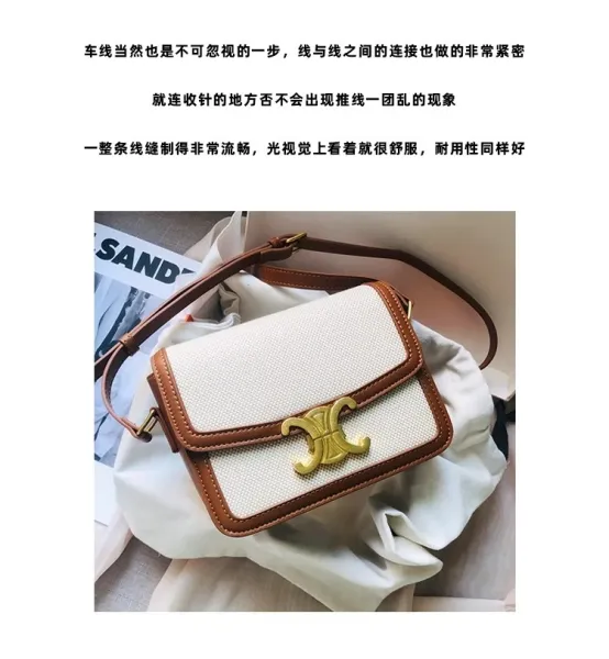 Celine Triomphe Mini Bag Beige and Brown Canvas with Gold Hardware Crossbody Bag - 7